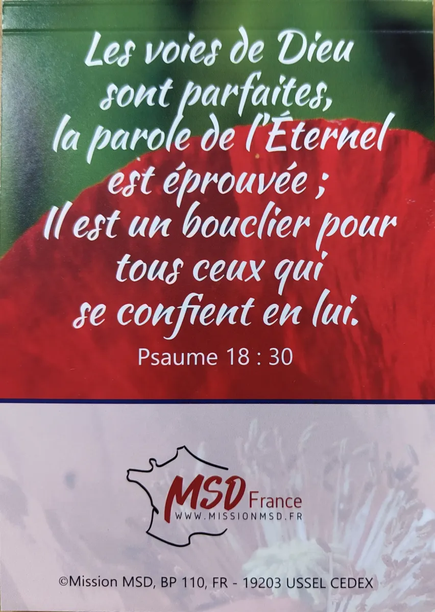 Calendrier - Trésors