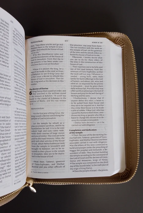 NIV Bible pocket latte zip