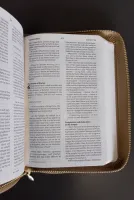 NIV Bible pocket latte zip