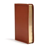 KJV Bible deluxe gift brown leathertouch