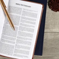 KJV Bible deluxe gift brown leathertouch