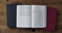 ESV Bible Gift and Award trutone brown mosaic cross