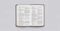ESV Bible Gift and Award trutone brown mosaic cross