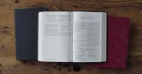 ESV Bible Gift and Award trutone navy mosaic cross