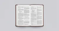 ESV Bible Gift and Award trutone navy mosaic cross
