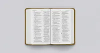 ESV value compact Bible trutone goldenrod ornament