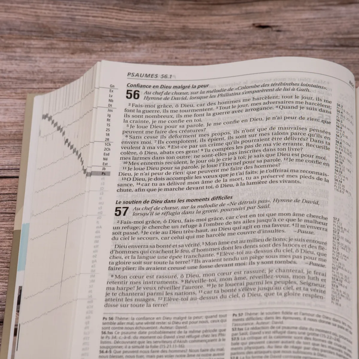 Bible SG21 Vie Nouvelle rigide illustrée lion