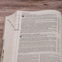 Bible SG21 Vie Nouvelle rigide illustrée lion