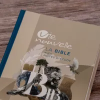 Bible SG21 Vie Nouvelle rigide illustrée lion