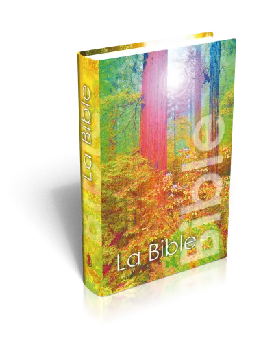 Bible NEG mini rigide forêt