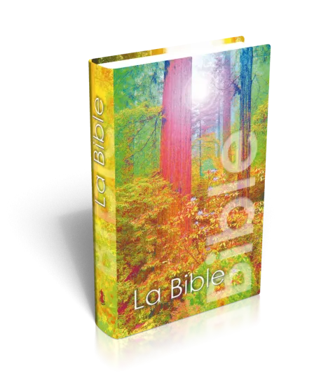 Bible NEG mini rigide forêt