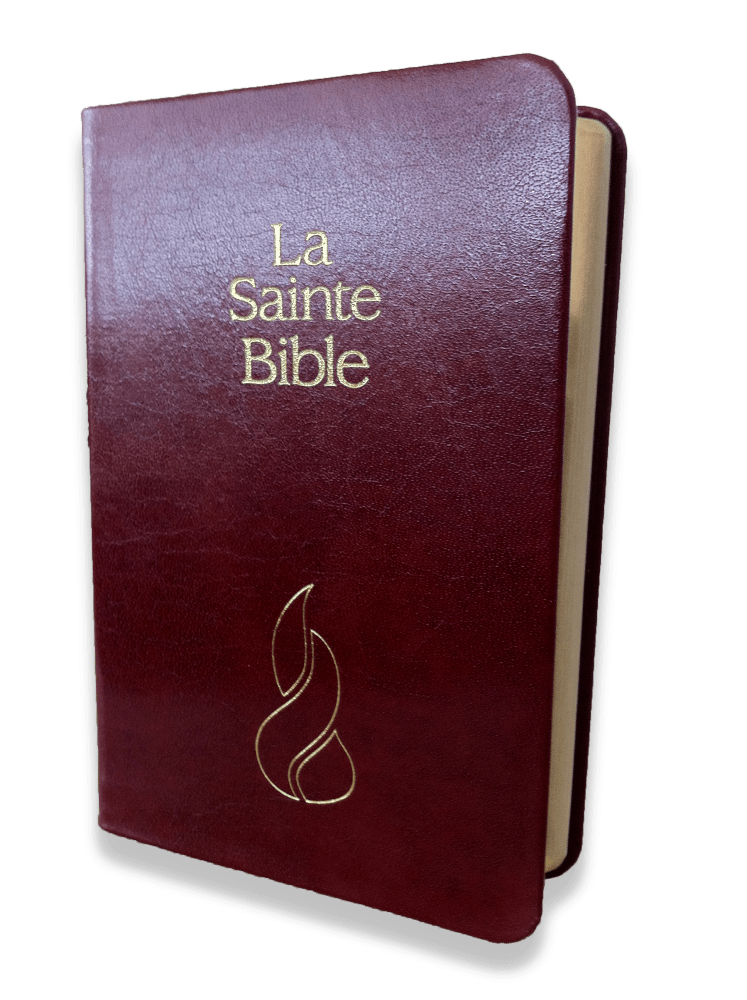 Bible NEG mini souple grenat or