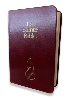 Bible NEG mini souple grenat or