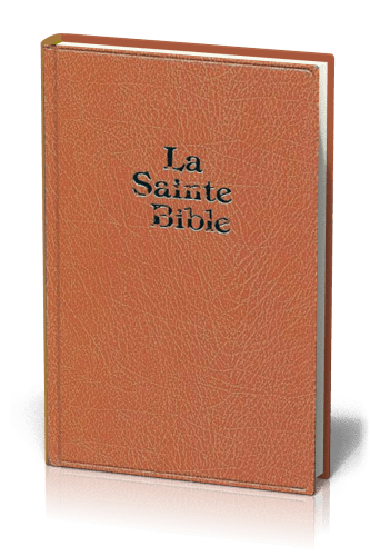 Bible Darby gros caractères rigide brun