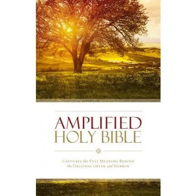 Amplified Holy Bible colour paperback