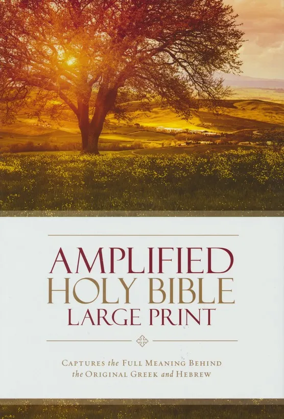 Amplified Bible Large print colour hardcover
