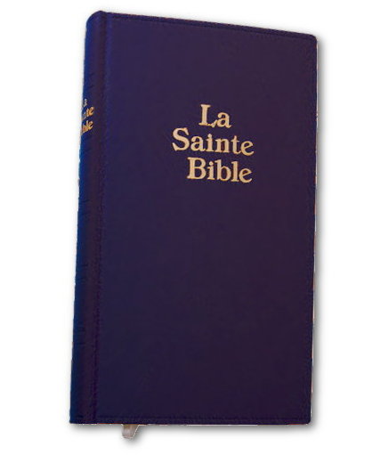 Bible Darby gros caractères simili bleu