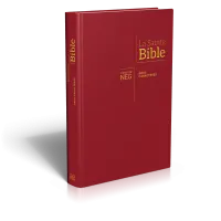 Bible NEG gros caractères rigide grenat