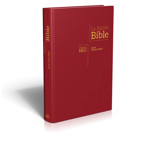 Bible NEG gros caractères rigide grenat