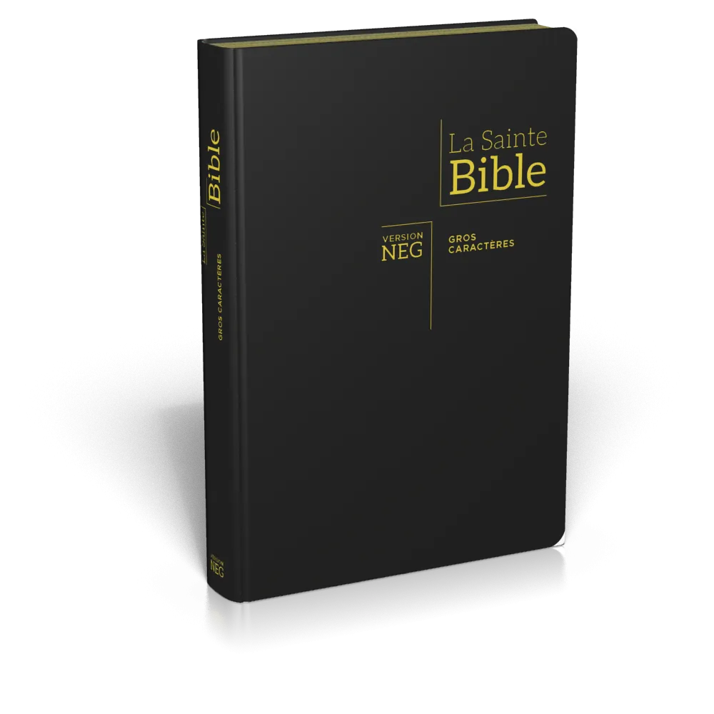 Bible NEG gros caractères souple noir or onglets