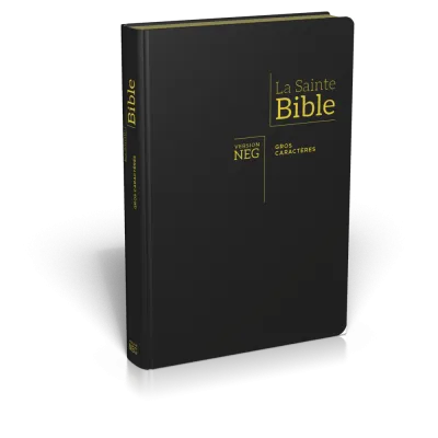 Bible NEG gros caractères souple noir or onglets