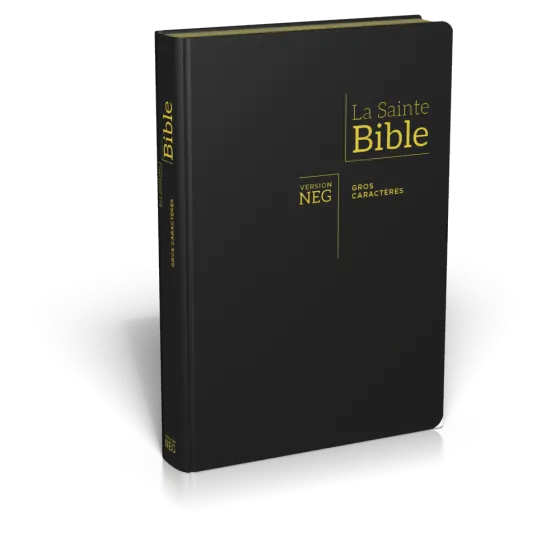 Bible NEG gros caractères souple noir or onglets
