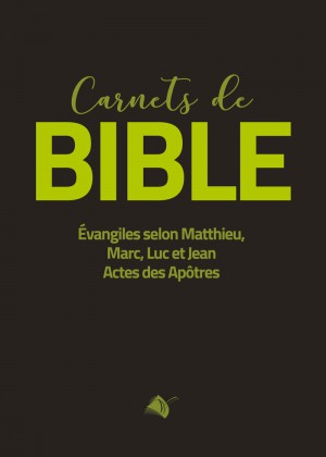 Carnets de Bible - Evangiles selon Matthieu, Marc, Luc, Jean, Actes des apôtres (Segond 1910)