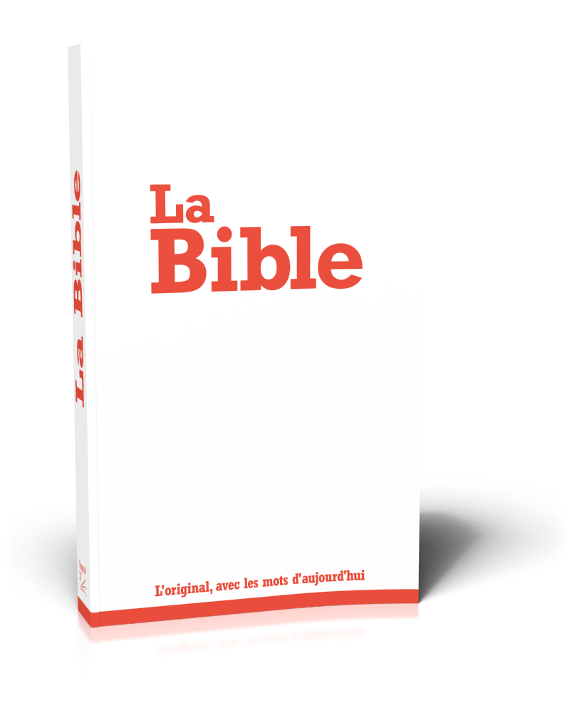Bible SG21 souple blanche