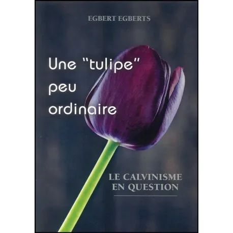 Tulipe peu ordinaire, Une - Le calvinisme en question