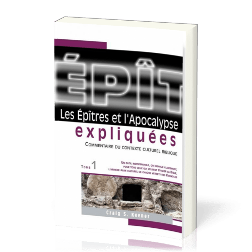 Epîtres et l'Apocalypse expliquées, Les - Vol.1