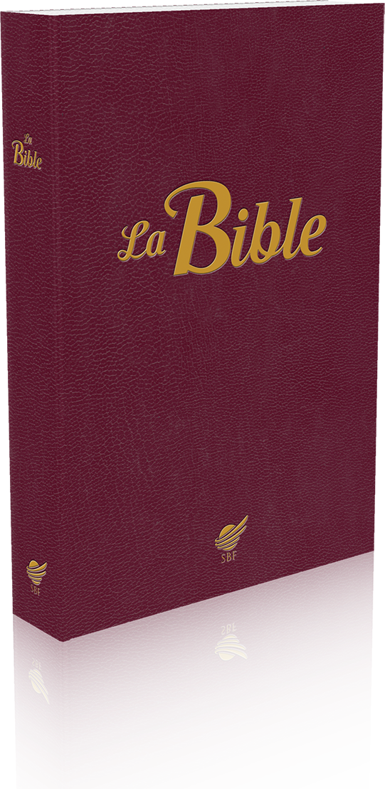 Bible Segond 1910 souple grenat - Paroles de Jésus en rouge