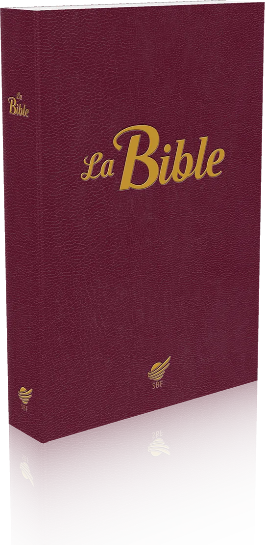 Bible Segond 1910 souple Grenat Vie pJr