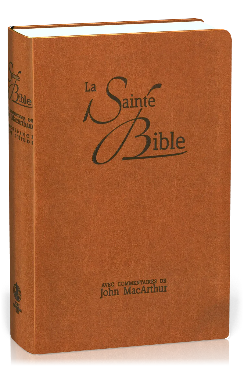 Bible NEG MacArthur souple brun onglets