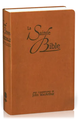 Bible NEG MacArthur souple brun onglets