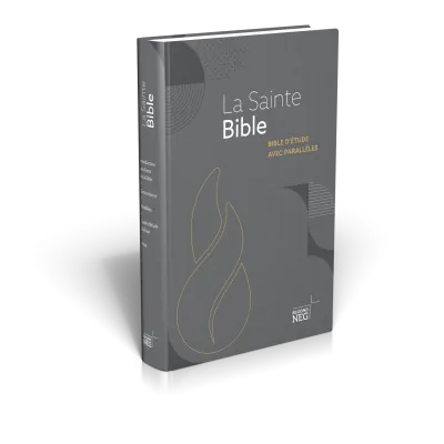 Bible NEG étude parallèles rigide gris