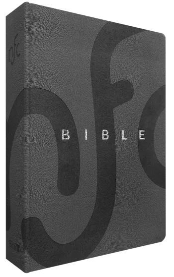 Bible NFC souple gris argent