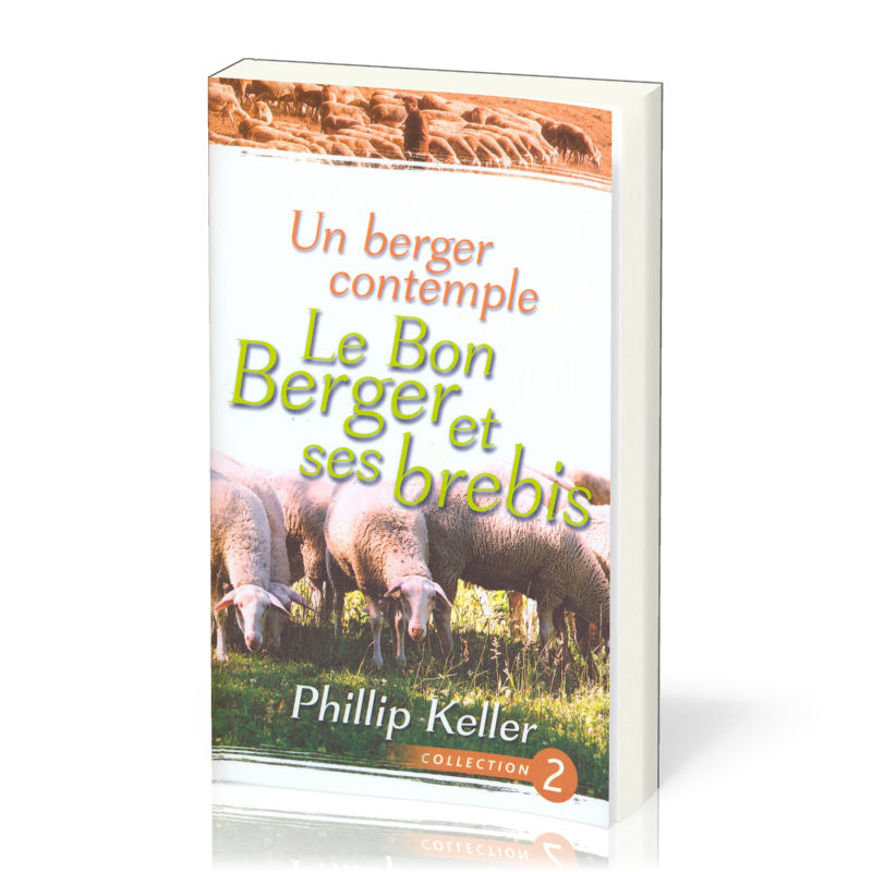 Berger contemple le Bon Berger et ses brebis, Un