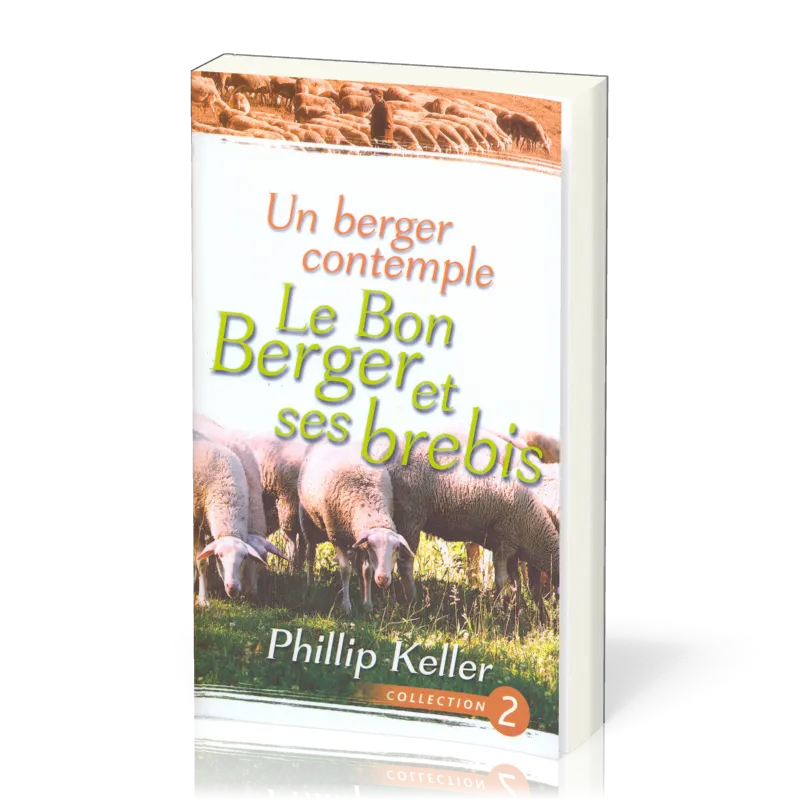 Berger contemple le Bon Berger et ses brebis, Un
