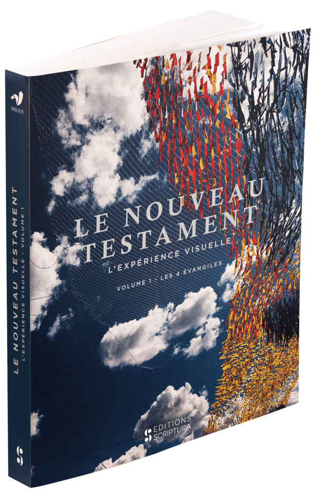 Nouveau Testament L'experience visuelle