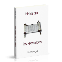 Notes sur les Proverbes