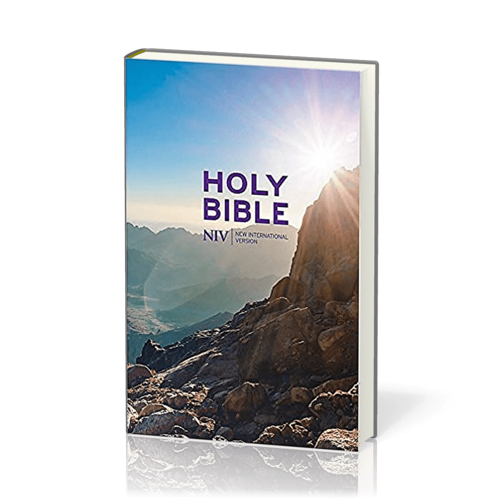 NIV Bible hardcover thin