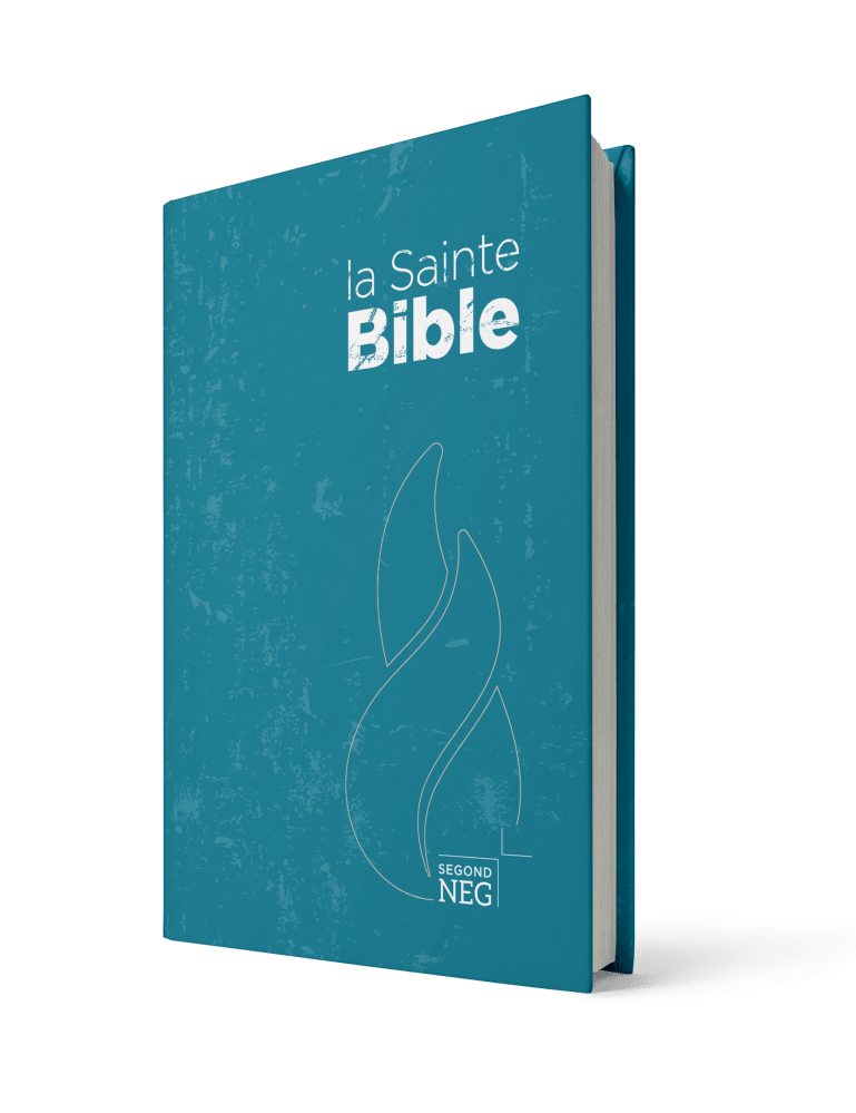 Bible NEG rigide bleu