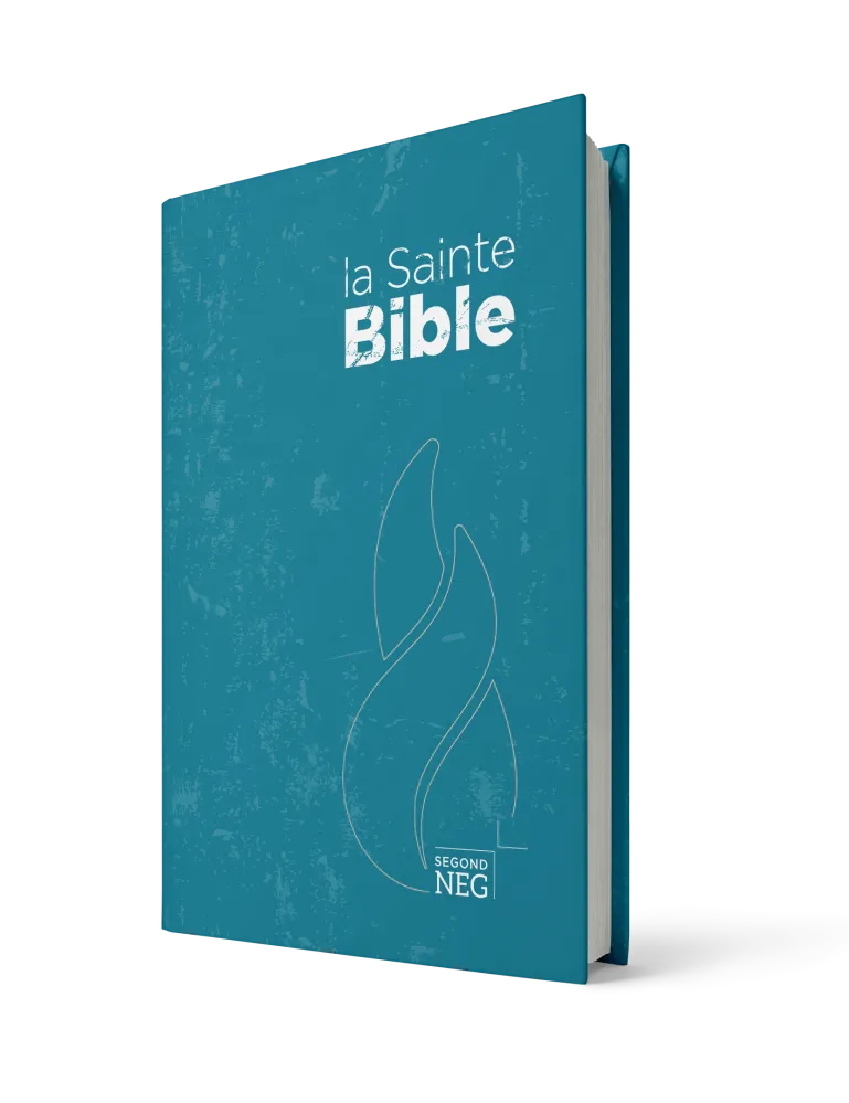 Bible NEG rigide bleu