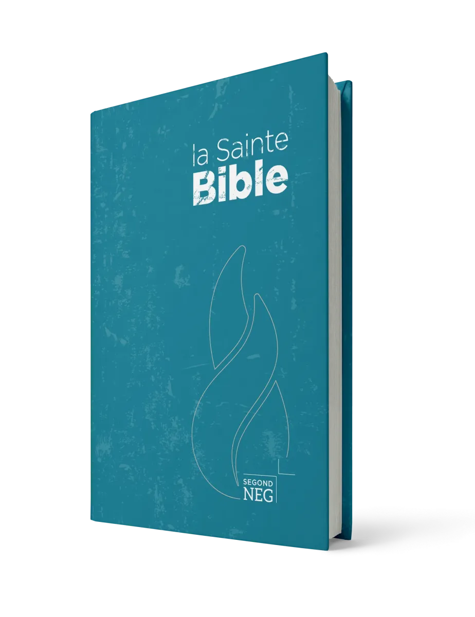Bible NEG rigide bleu