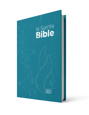 Bible NEG rigide bleu