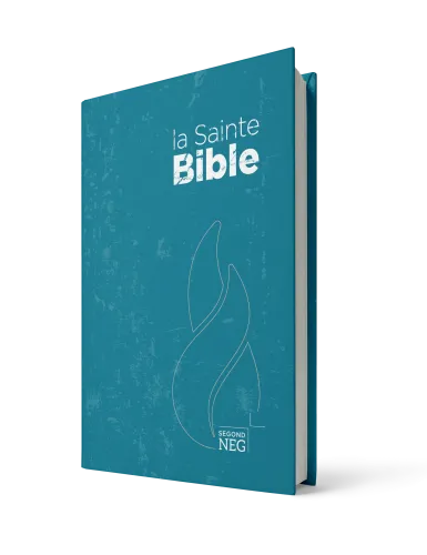 Bible NEG rigide bleu