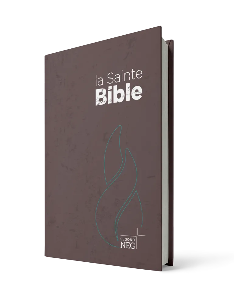 Bible NEG rigide brune