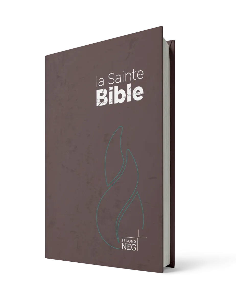 Bible NEG rigide brune
