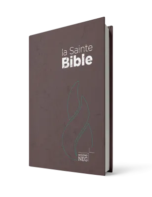 Bible NEG rigide brune