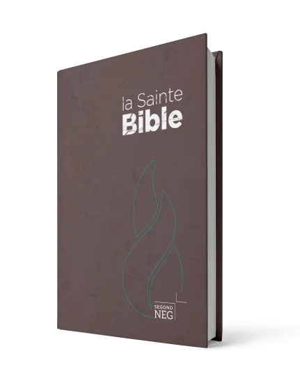 Bible NEG rigide brune